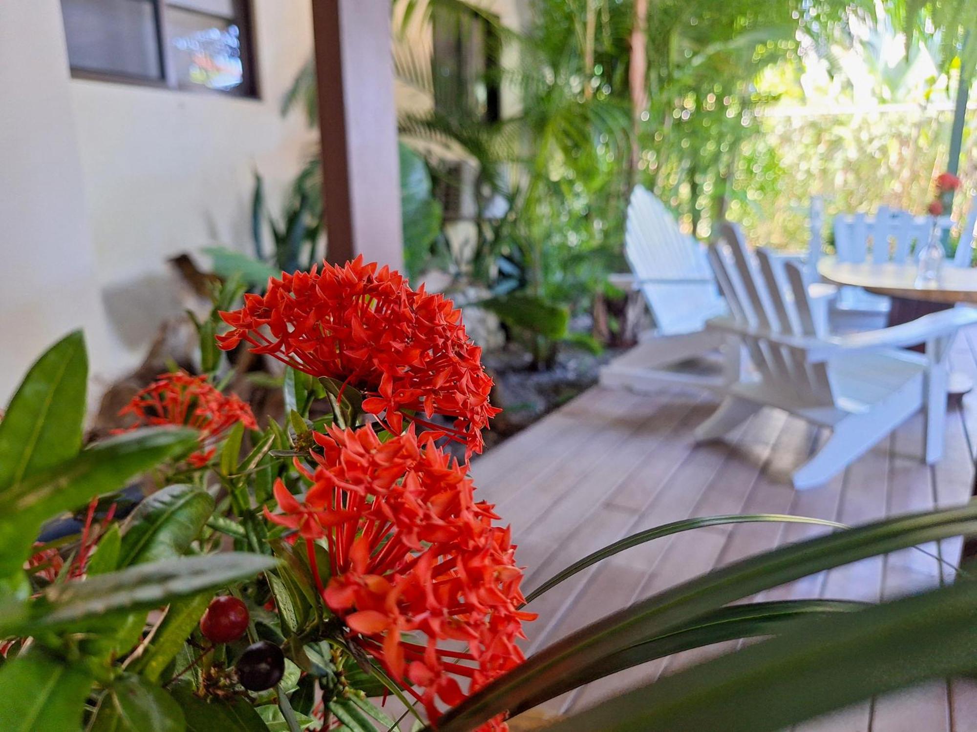 Infiniti Hotel Puerto Viejo de Talamanca Экстерьер фото
